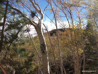 nte Corvo-01-11-2012 11-18-52